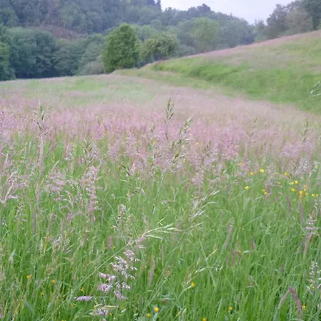 Lägenhet Manarinegi Rurales *