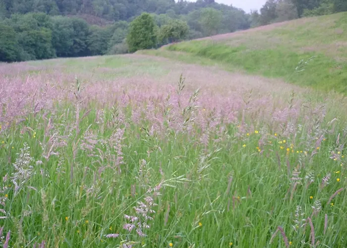 Апартаменты Manarinegi Rurales *